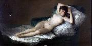 Francisco Goya La maja desnuda France oil painting artist